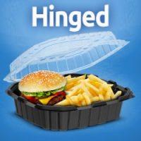 PLASTIC HINGED CONTAINERS