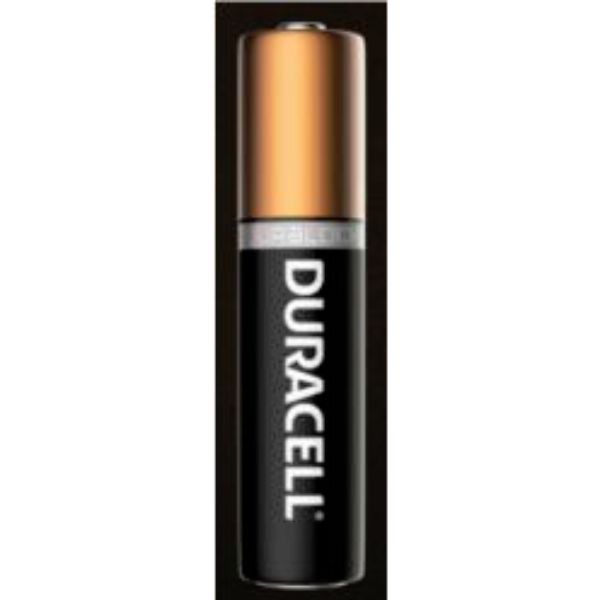 AAA SIZE BATTERY ALKALINE