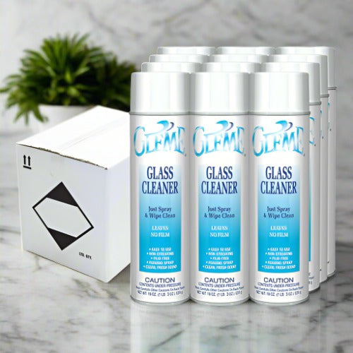 C050 GLEME FOAM GLASS CLEANER 19-OZ AEROSOL FRESH SCENT