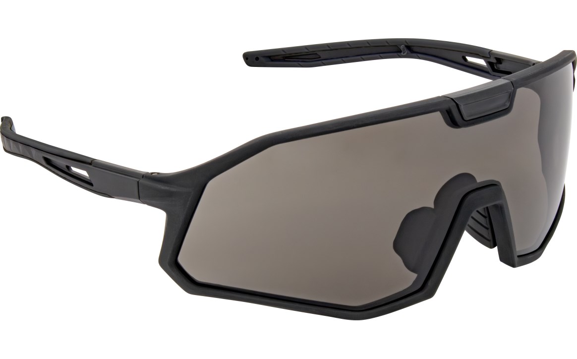 GTR Gold Frame - Gray Lens - Polybag